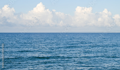 Wallpaper Mural seagull over the Mediterranean sea on a sunny day 6 Torontodigital.ca