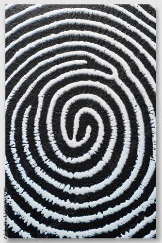 Abstract fingerprint ornament with black and white swirls, creating a hypnotic and creative pattern.