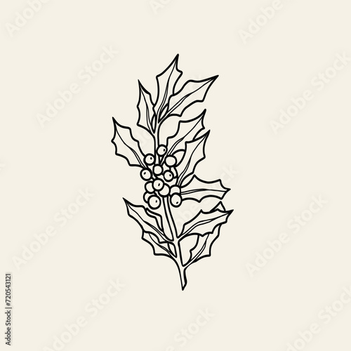 Line art holly berry branch