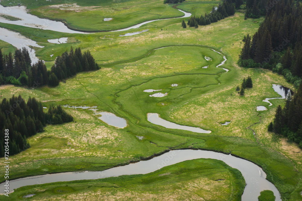 Salt marsh, wetland and sedge meadow near Cook Inlet at Lake Clark