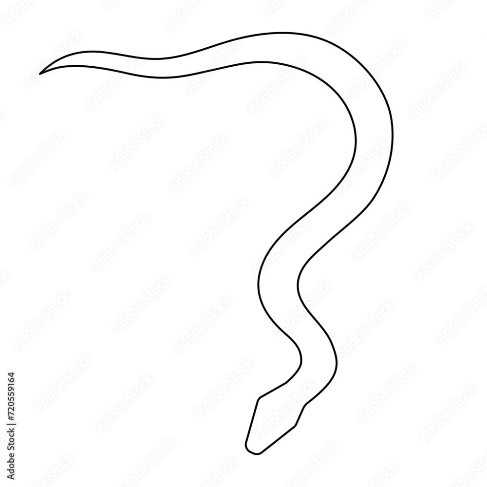 Snake one line art,hand drawn continuous drawing contour,symbol of new year 2025.Poisonous reptile serpent outline,wildlife nature concept.Editable stroke.Isolated.Vector illustration