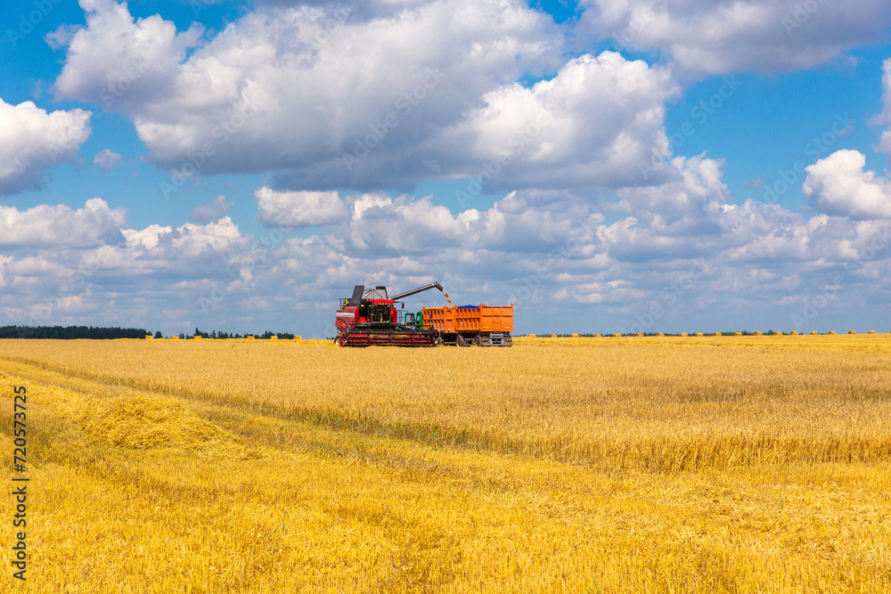 Combine harvester load wheat in the truck at the time of harvest in a sunny summer day. Combine harvester load wheat in the truck at the time of harvest in a sunny summer day.