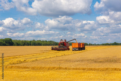 Combine harvester load wheat in the truck at the time of harvest in a sunny summer day.