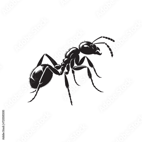 Nature's Architects: Ant Silhouette Collection Revealing the Structural Precision of These Insect Builders - Insect Silhouette - Ant Vector - Ant Illustration
