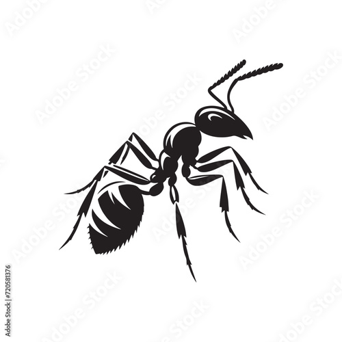 Tiny Wonders: Ant Silhouette Collection Unveiling Nature's Minuscule Marvels - Insect Silhouette - Ant Illustration - Ant Vector
