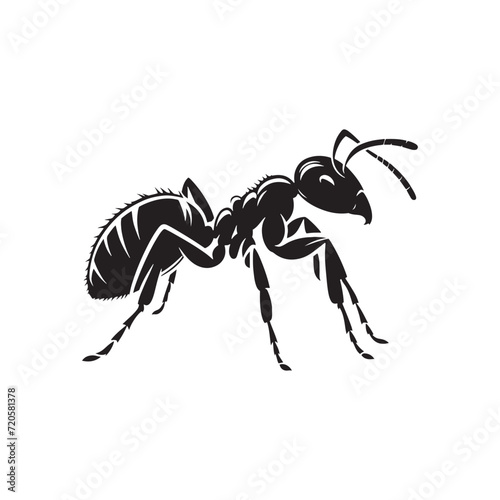 Microscopic Majesty: Ant Silhouette Set Showcasing the Delicate Beauty of Nature's Tiny Workers - Insect Silhouette - Ant Illustration - Ant Vector
