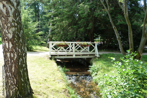 Brücke über Bach im Kurpark Bad Brambach photo