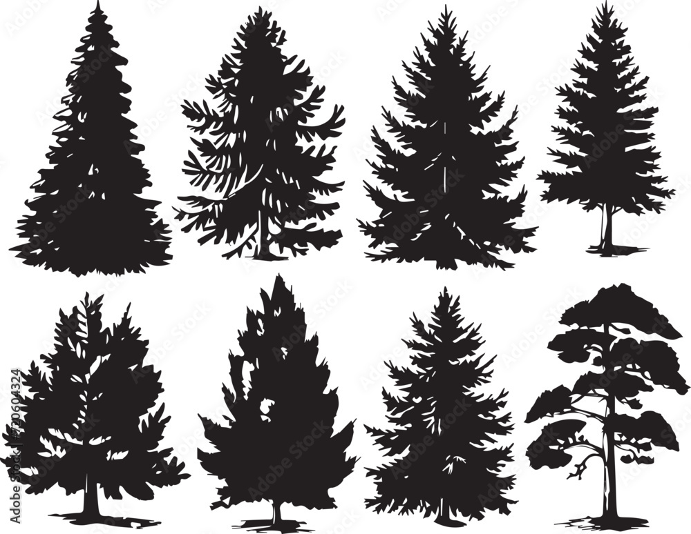Obraz premium Conifer set. Hand drawn vector illustration