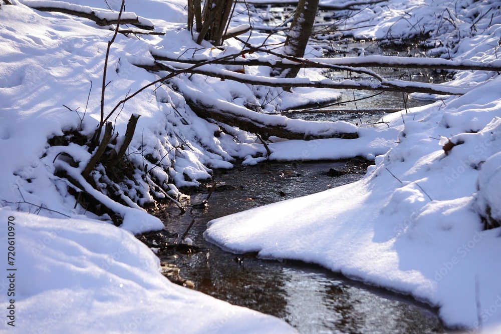Leśny strumyk. Woda płynie krętym strumieniem w otoczeniu śniegu. Panorama na leśny strumień i zaśnieżone kłody drewna. - obrazy, fototapety, plakaty 