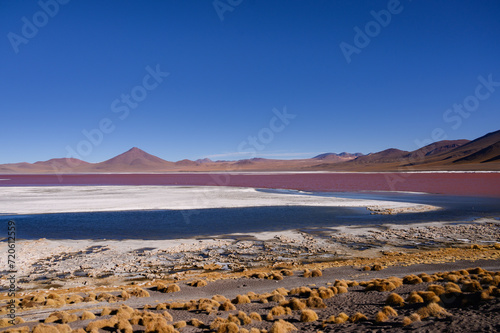 Lagoon Colorada, Bolivia