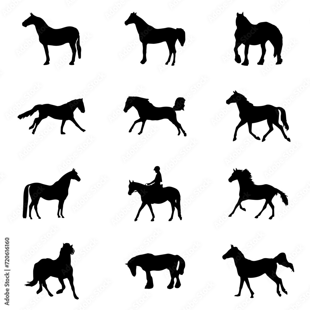 Set of horse silhouette animal set isolated on white background. Black horses graphic element vector illustration
