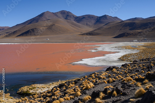 Lagoon Colorada, Bolivia