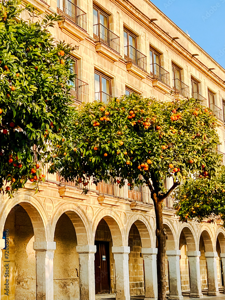 Jerez, Spain - December 30, 2023: Scenery and typical architecture in downtown Jerez, Spain
