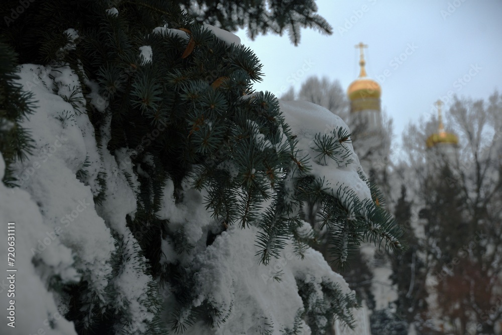 Architecture of Moscow Kremlin. Color photo