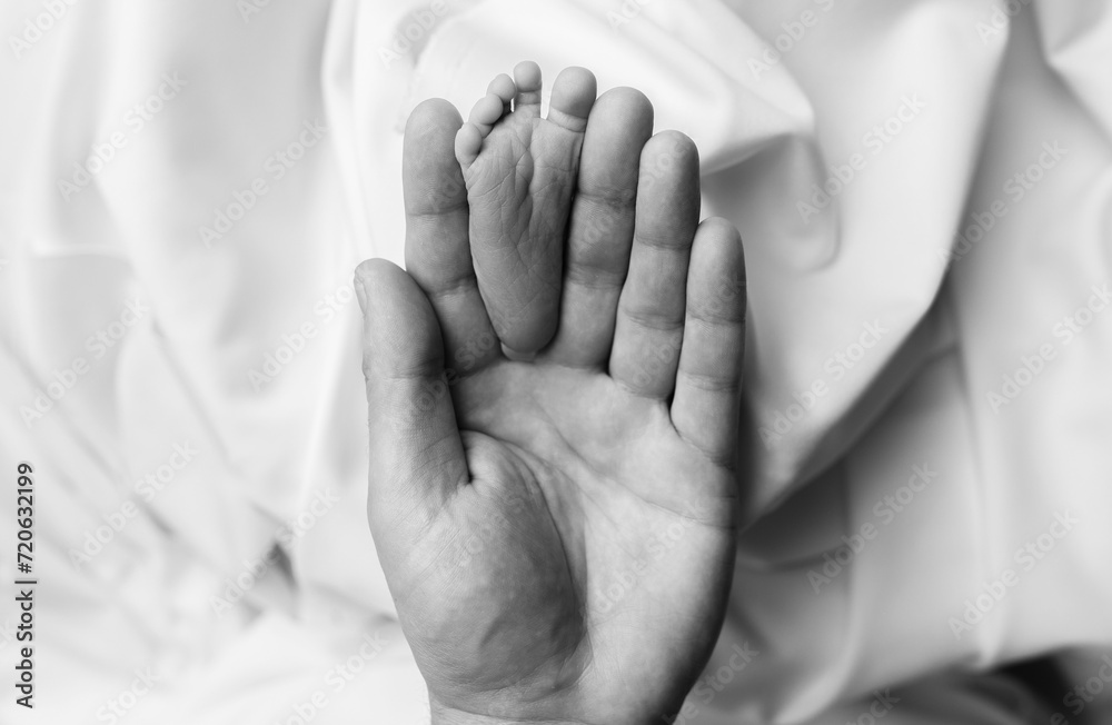 Newborn baby's foot in dad's palm. Newborn leg black and white. Newborn baby's foot in dad's palm. Newborn leg black and white.