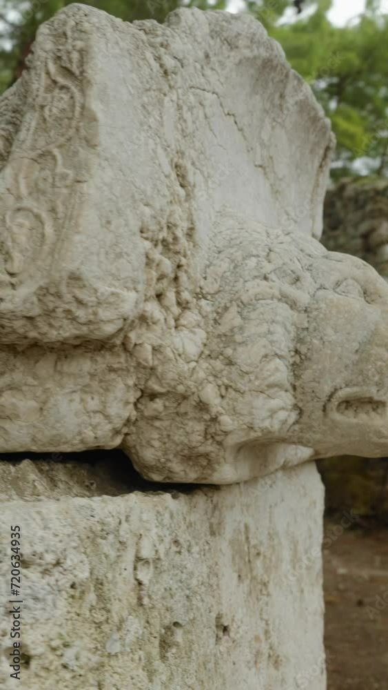 Vertical video. Ancient structure resembling a lion's head tomb, ruins of the city of Phaselis. Close-up. Vertical video. Ancient structure resembling a lion's head tomb, ruins of the city of Phaselis. Close-up.
