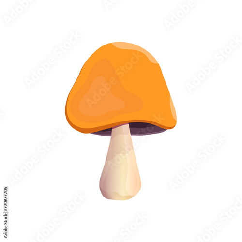 Armillaria mellea, honey fungus, wild mushroom, inedible mushroom. Organic, poisonous mushroom. Hyfoloma fasciculata. Cartoon mushroom on a white background. Type of forest mushrooms.