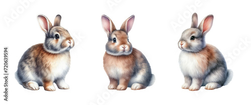Watercolor Rabbits. Cute fluffy bunny illustration. Isolated on white background. Generative AI.