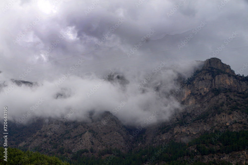 thick fog and clouds in the mountains thick fog and clouds in the mountains