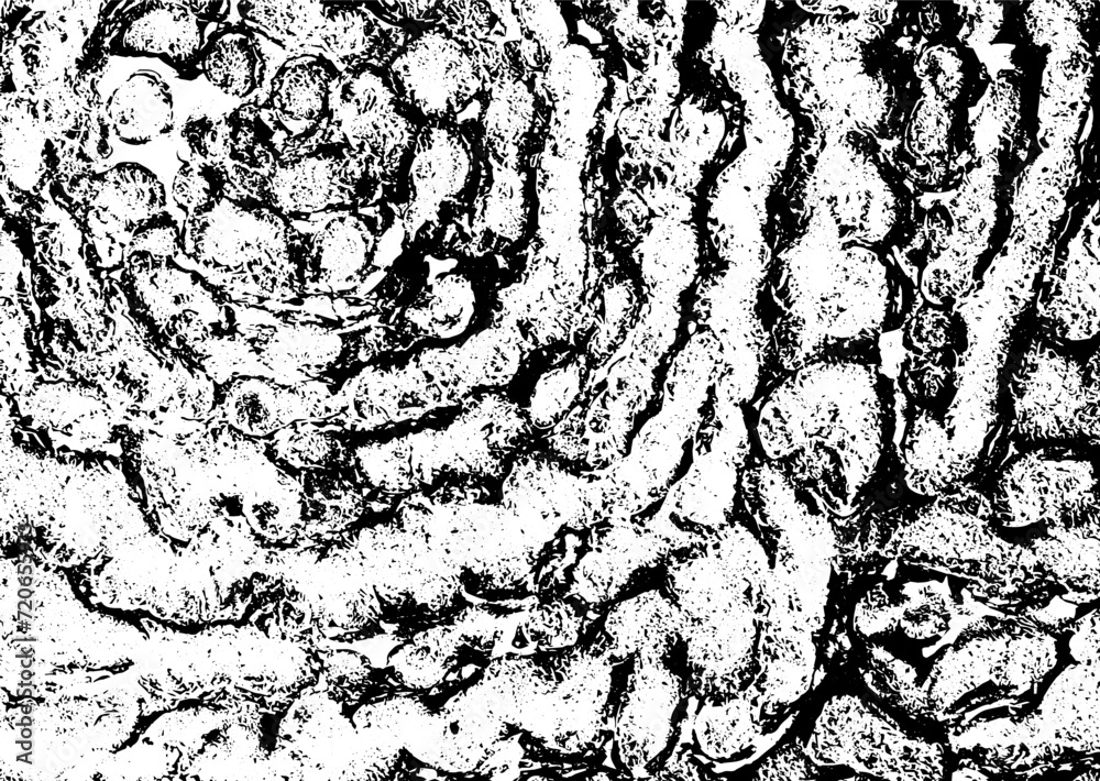 Rustic grunge vector texture with grain and stains. Abstract noise background. Weathered surface. Dirty and damaged. Detailed rough backdrop. Vector graphic illustration with transparent white. EPS10. Rustic grunge vector texture with grain and stains. Abstract noise background. Weathered surface. Dirty and damaged. Detailed rough backdrop. Vector graphic illustration with transparent white. EPS10.