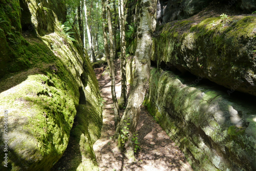 Fototapeta premium Felsenlabyrinth Langenhennersdorf in der Sächsischen Schweiz