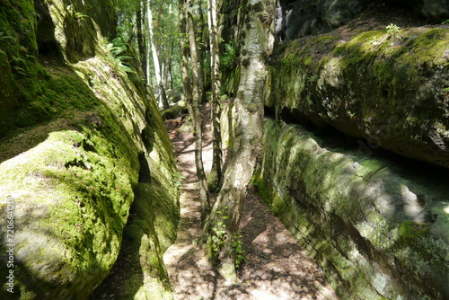 Felsenlabyrinth Langenhennersdorf in der Sächsischen Schweiz photo