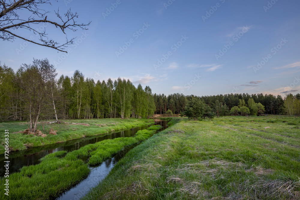 Spring evening by the river. Young green grass on the river bank