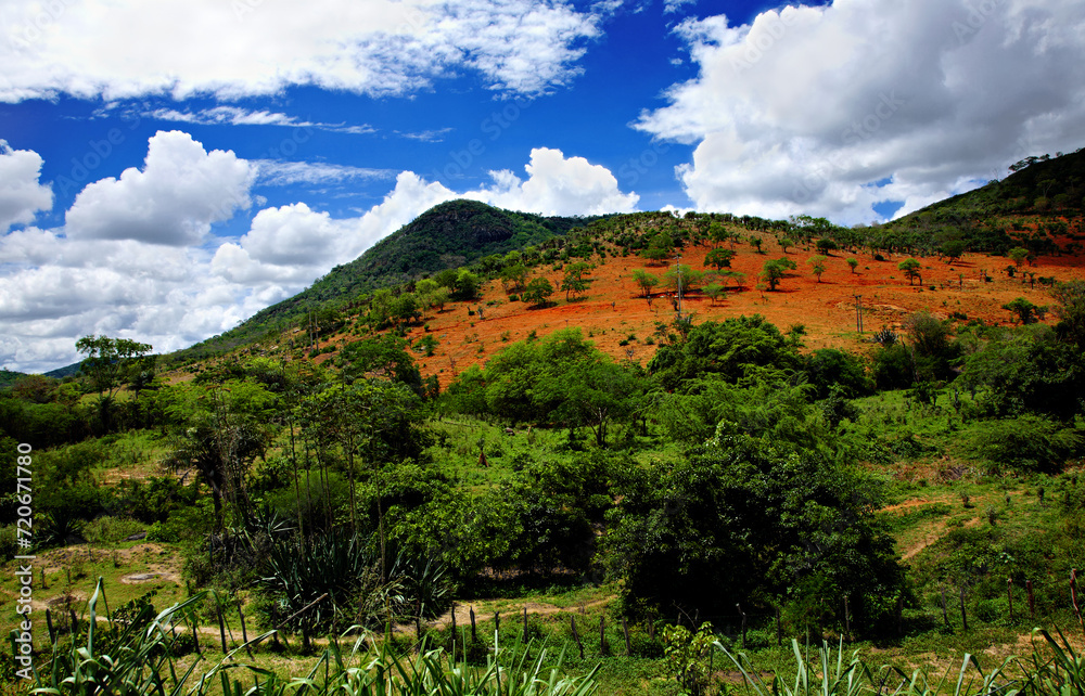 Savanna landscape in Bahia, Sertao, Brazil, South America.