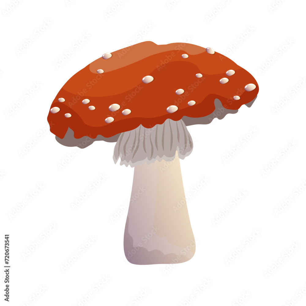 Amanita, fly agaric mushroom. Cartoon mushroom with red cap and white spots, vector illustration. Type of forest mushrooms. Organic mushroom, poisonous mushroom. Amanita, fly agaric mushroom. Cartoon mushroom with red cap and white spots, vector illustration. Type of forest mushrooms. Organic mushroom, poisonous mushroom.