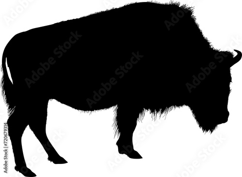 silueta, caballo, animal, vector, animal, rinocerontes