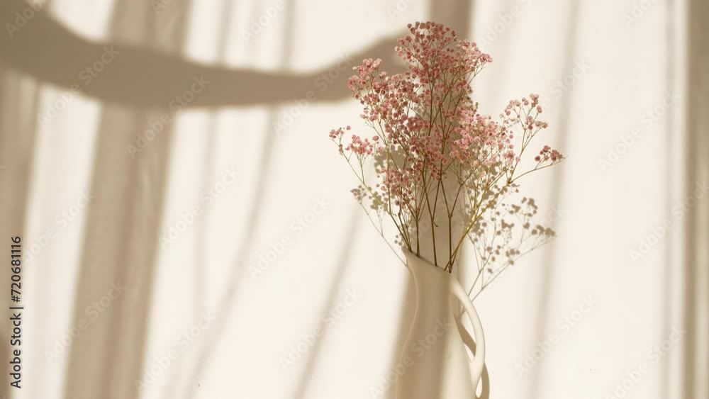 Light and shadows of girl's hands and waving white tulle near the window. Pink flowers in a vase. Transparent soft light and shadow on wall. Product presentation, advertising. High quality 4k footage Light and shadows of girl's hands and waving white tulle near the window. Pink flowers in a vase. Transparent soft light and shadow on wall. Product presentation, advertising. High quality 4k footage