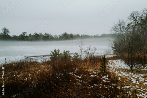 lake in the forest