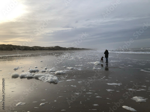 northsea coast  netherlands  julianadorp  beach  walking the dog  