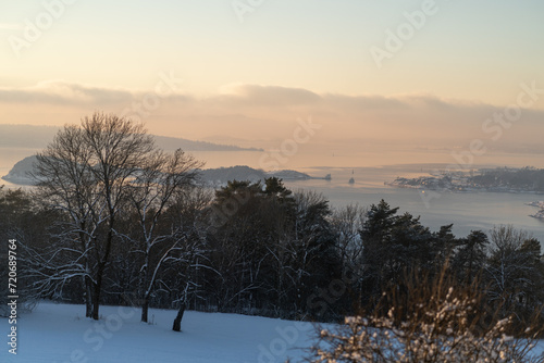 Ekeberg park in oslo Norway on a sunny winter day, pastel tree on a winter snowy morning