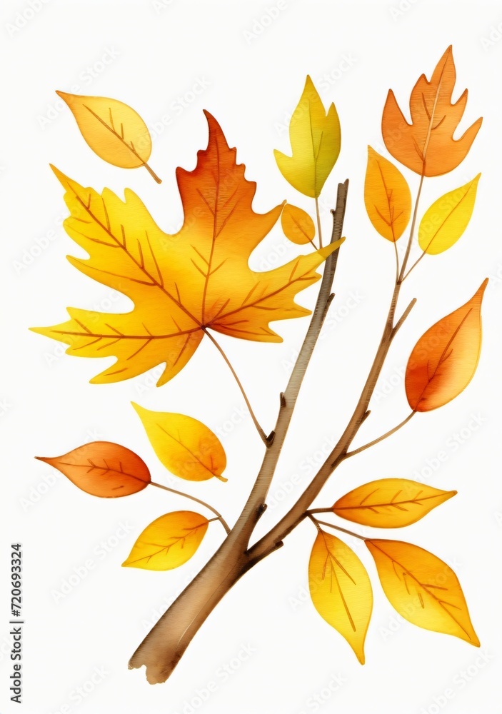 Childrens Illustration Of Autumn Watercolor With Yellow Leaves On Twig On White Background