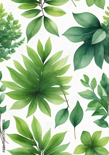 Watercolor Illustration Of A Top View Of Dense Green Foliage Trees Isolated On White Background