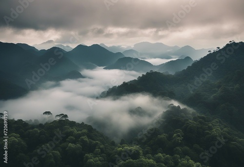 Foggy landscape in the jungle Fog and cloud mountain tropic valley landscape aerial view