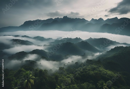 Foggy landscape in the jungle Fog and cloud mountain tropic valley landscape aerial view wide misty