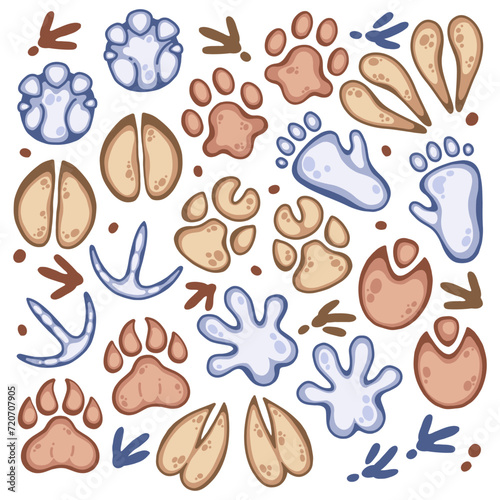 Safari animal footprints such us lion, zebra, hippo, rhino, elephant, giraffe, gorilla. Multicolor vector illustration for kids education.