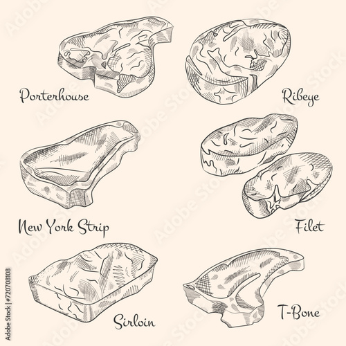 A set of hand-drawn sketches of different types of meat, steaks. Doodle vintage illustration. Engraved image.