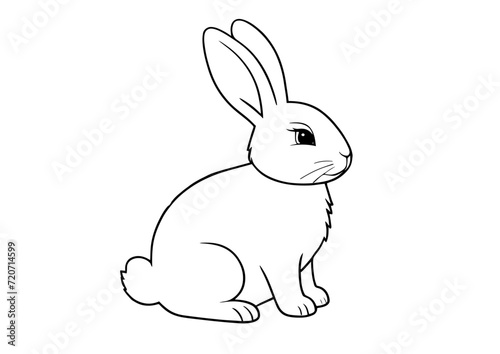 White rabbit for Easter spring