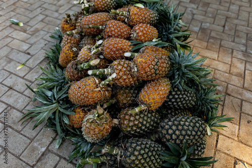 Ripe pineapples at the local farmer's market, lying in a pile on the floor