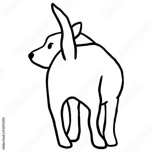 Dog Butt