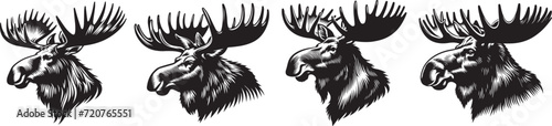 moose black and white vector graphics set photo