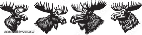 moose black and white vector graphics set
