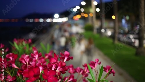 Beautiful pink flowers in the evening street filled with people photo
