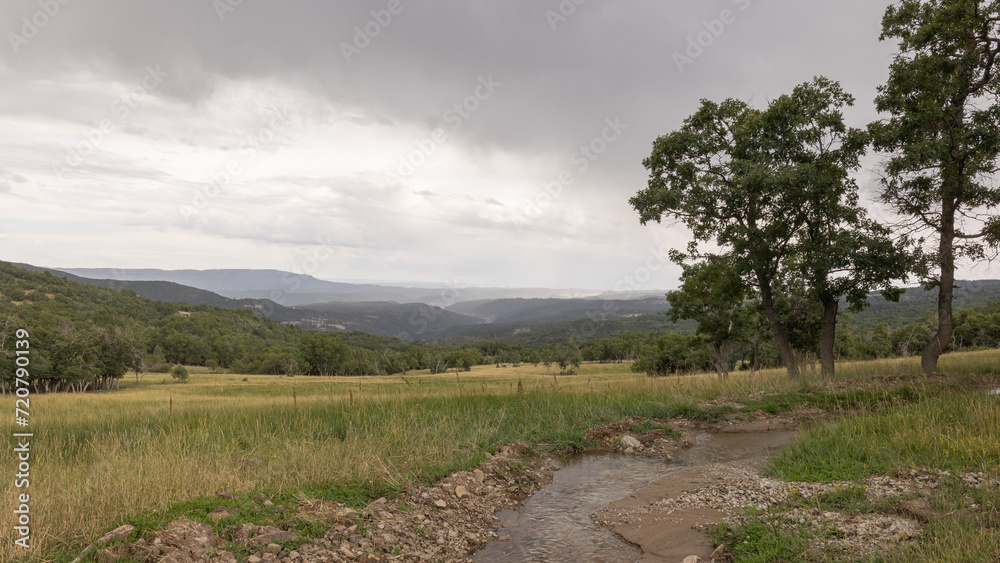 A small stream runs through a green field with oak trees dotted here and there. Distant mountains cradle a light mist as rain falls on the summer landscape in the mountains of Southern Utah, USA.