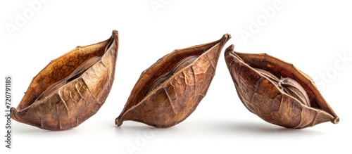 Three Pe Pods Isolated on White Background