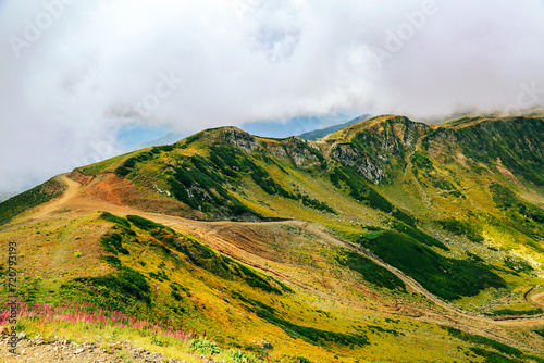 Idyllic view of Greater Caucasus mountains shrouded in fog and fluffy clouds. Stunning tranquil scene in Europe. Picturesque hills, colorful meadows with flowers. Beauty in peaceful nature.