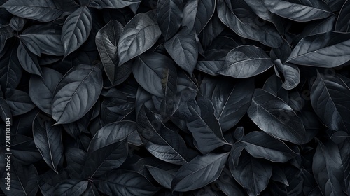 Black abstract leaf textures tropical leaves background. generative ai